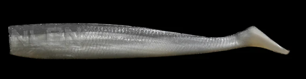 NLBN 8” Paddle Tail - Mullet Run image