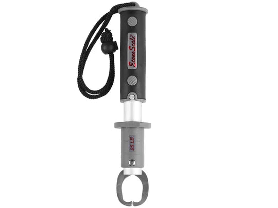 Evolution Econoscale Digital Scales image 0