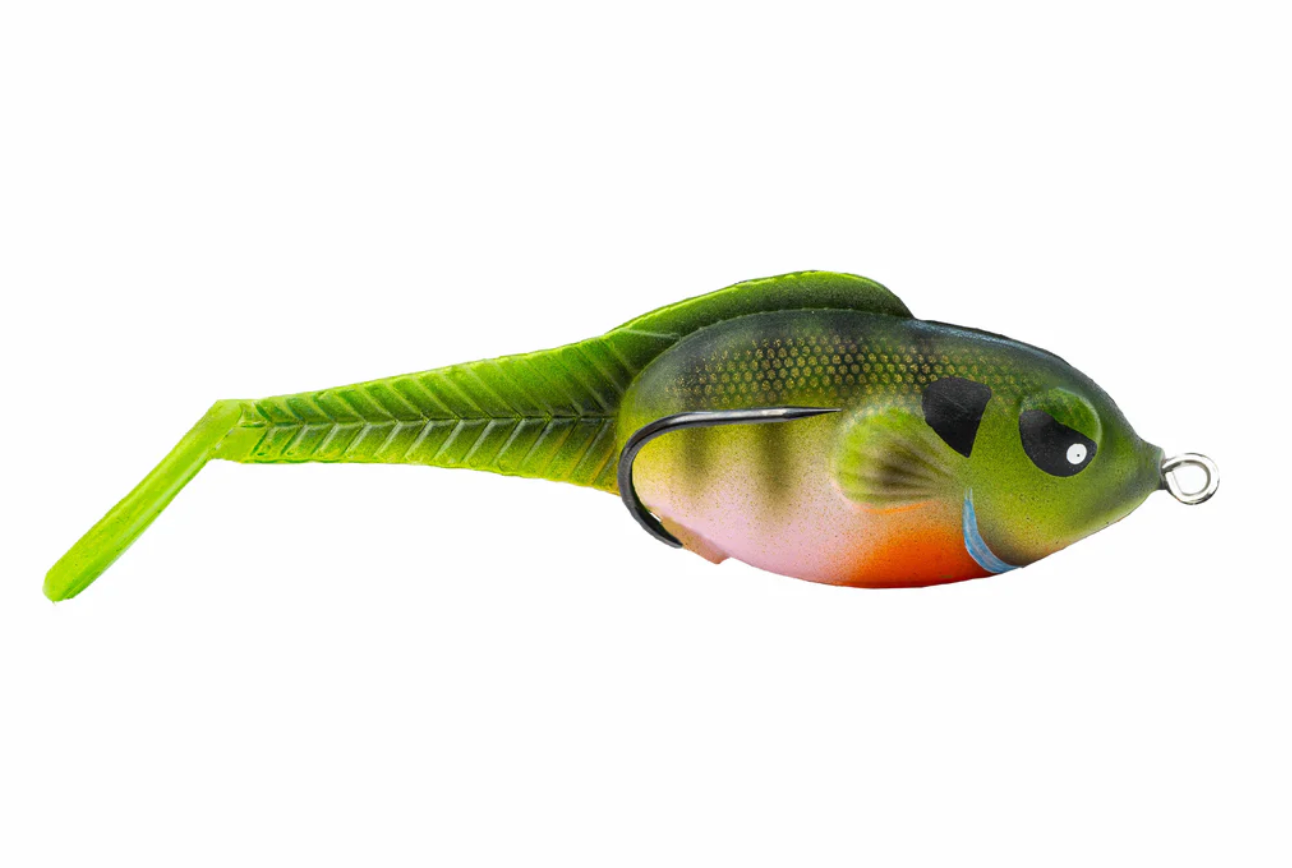 Zoo Wake - Dark Gill image