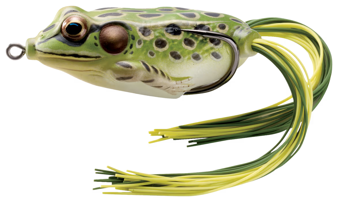 LIVETARGET Frog image 0