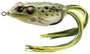 LIVETARGET Frog image 0