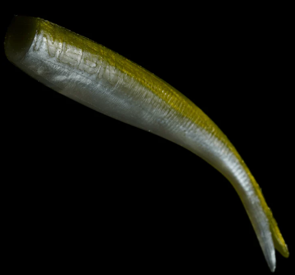 NLBN 8” Straight Tail - Green Back image