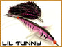 Tormenter Mahi Magnet - Little Tunny image