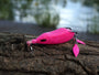 American Snakehead Customs SNEK FROG - PINKALICIOUS image
