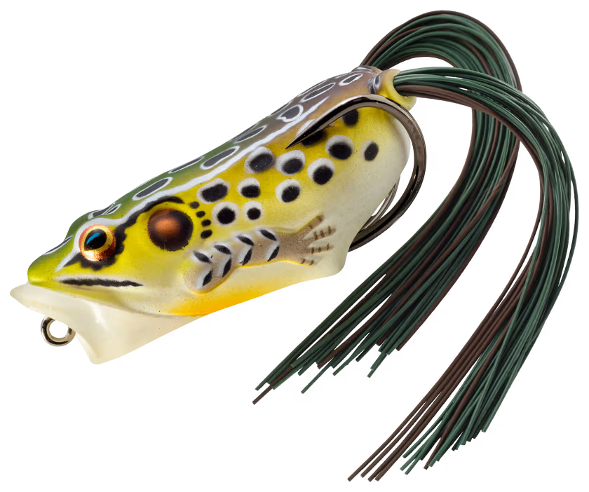 LIVETARGET Hollow-Body Frog Popper - 2-1/2" - Emerald/Brown image 0