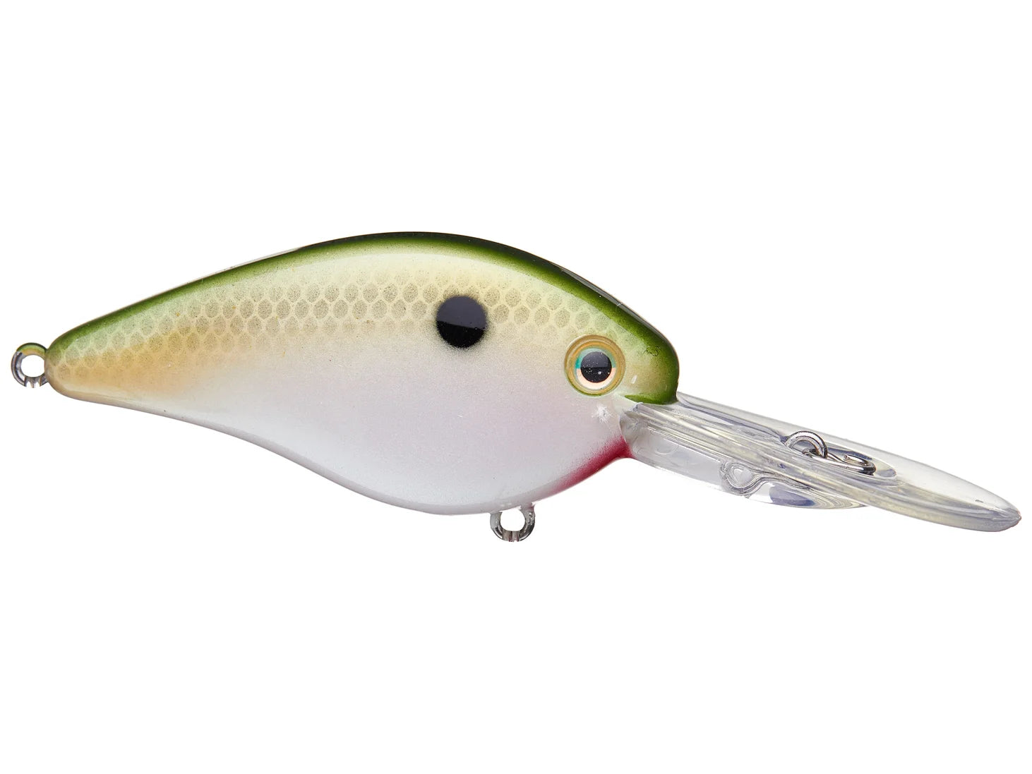 Strike King KVD HC Flat Side 1.5 Crankbait - The Shizzle image