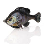 Savage Gear Pulse Tail Bluegill LB - Black Gill image