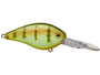 Strike King KVD HC Flat Side 1.5 Crankbait - Chartreuse Perch image