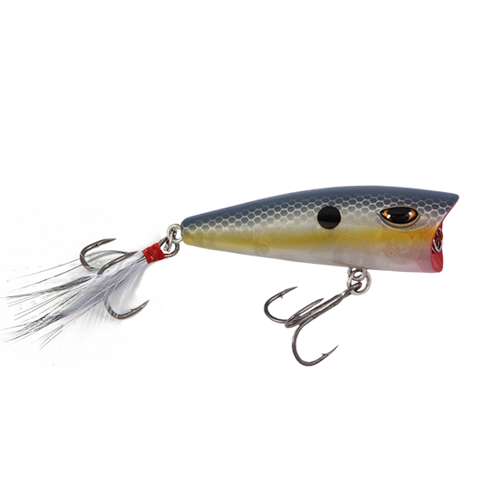 Duckett BD 80 POPPER image 0