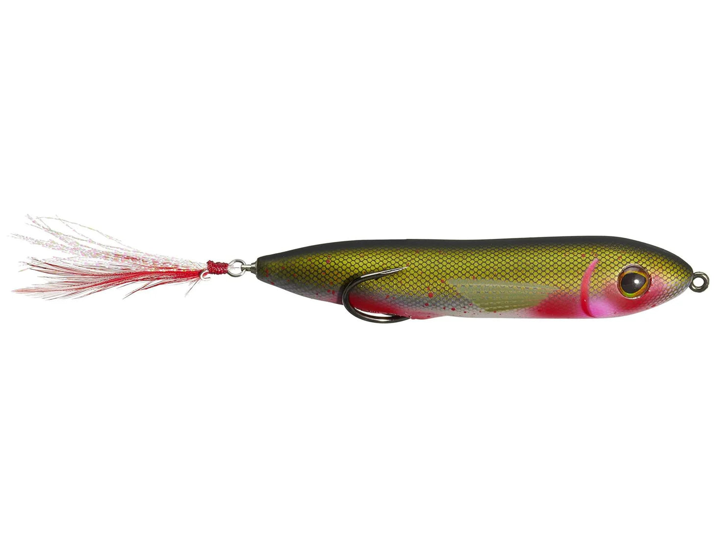 SNAG PROOF ZOO DOG 3/5 oz Topwater Walking Bait - Bloody Shad image