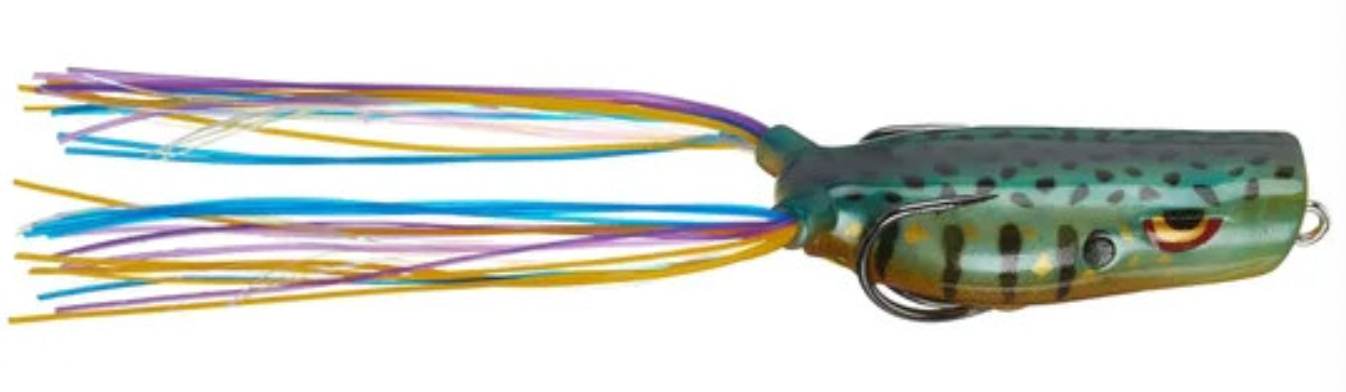 Gambler Popping Frog