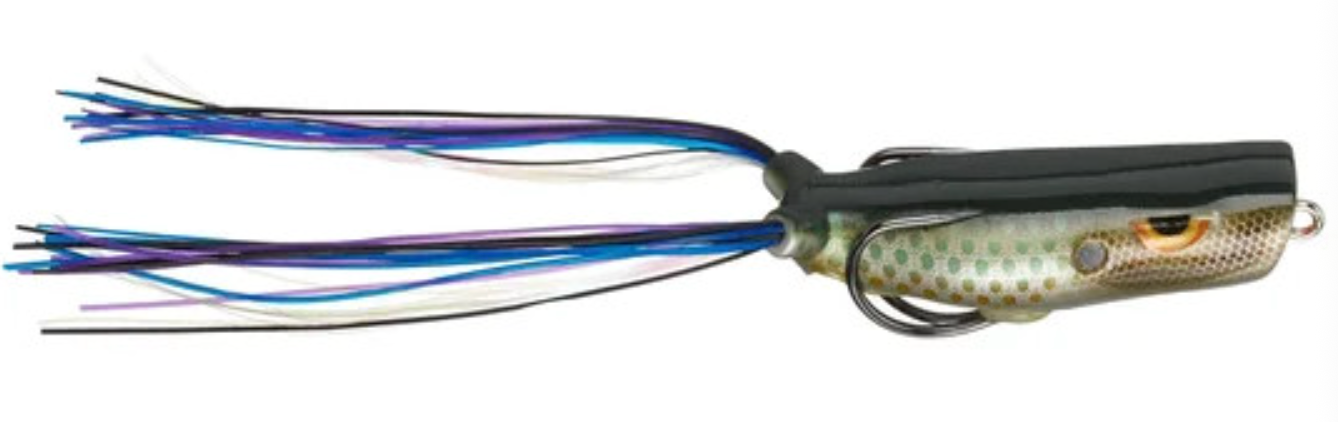 Gambler Popping Frog