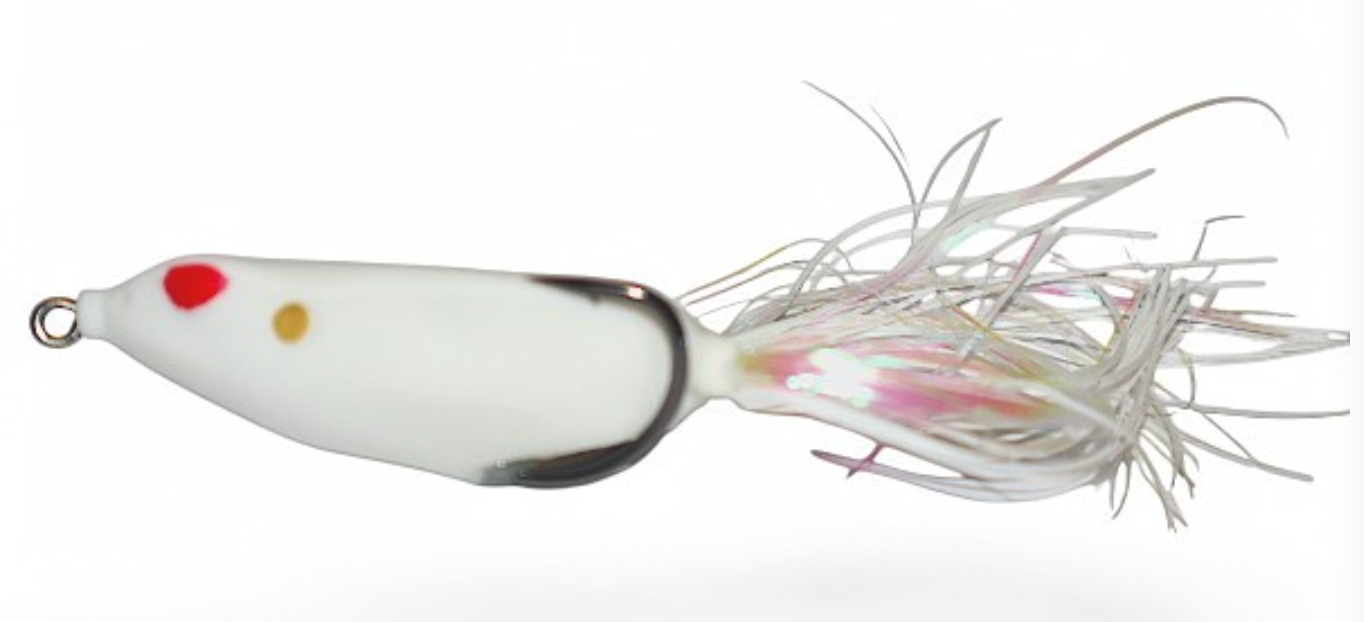 Gambler Walking Frog