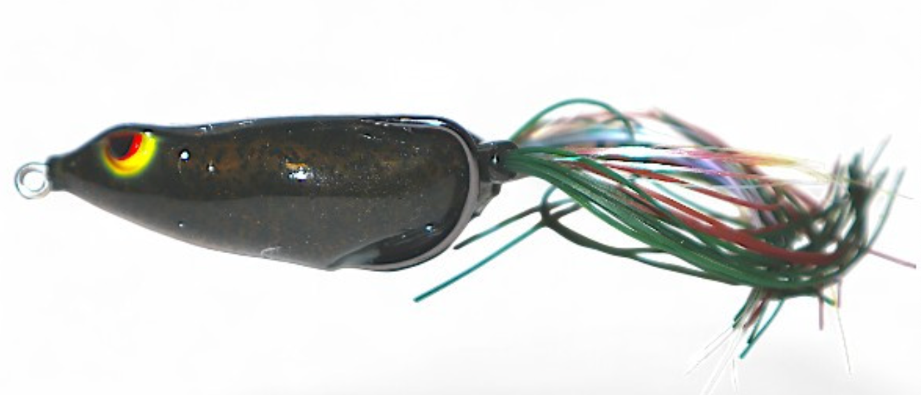 Gambler Walking Frog