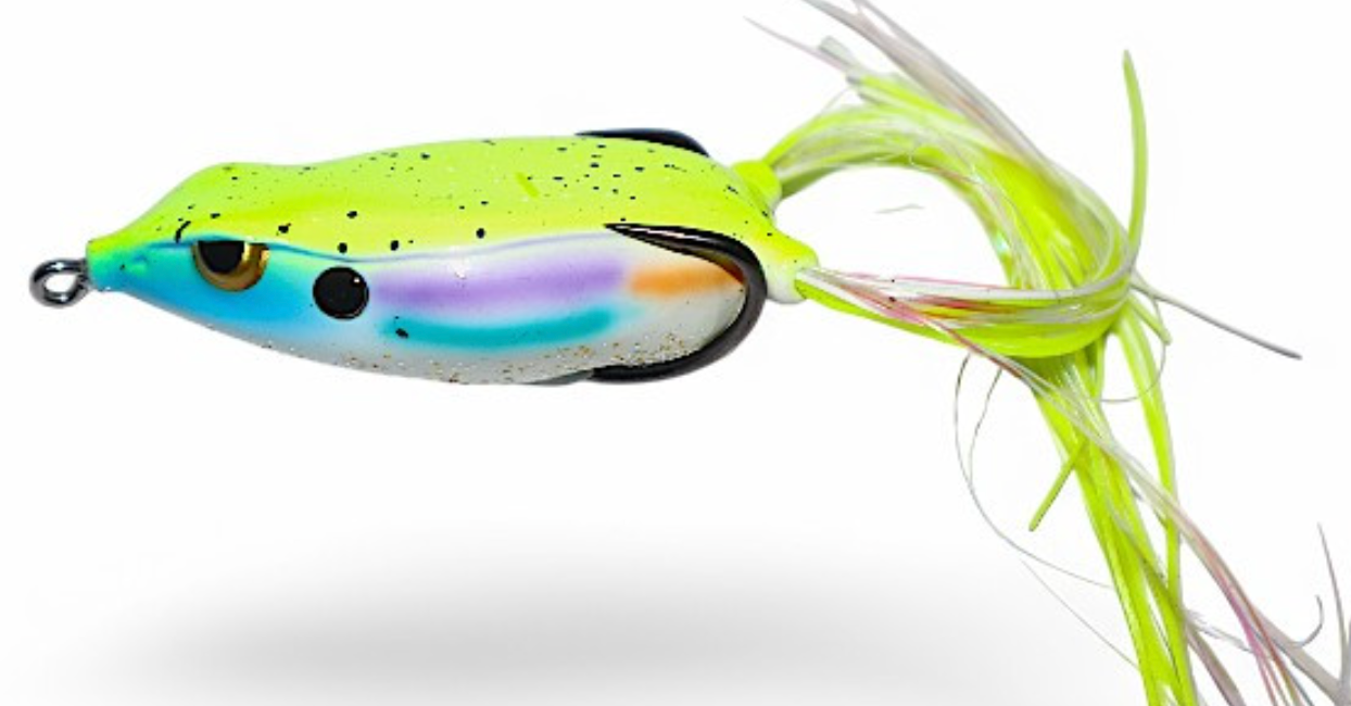 Gambler Walking Frog