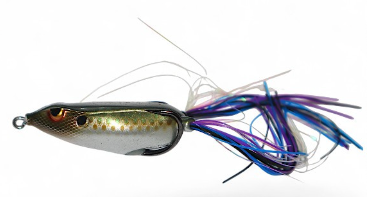 Gambler Walking Frog