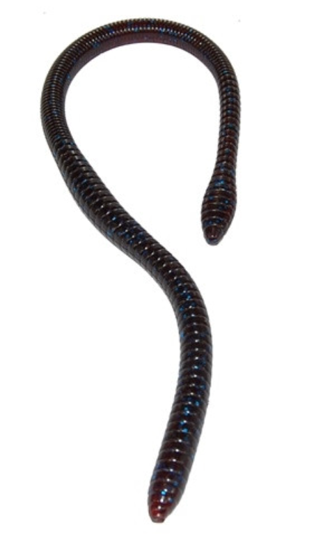 Gambler ER 16" Worms