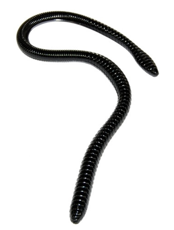 Gambler ER 16" Worms