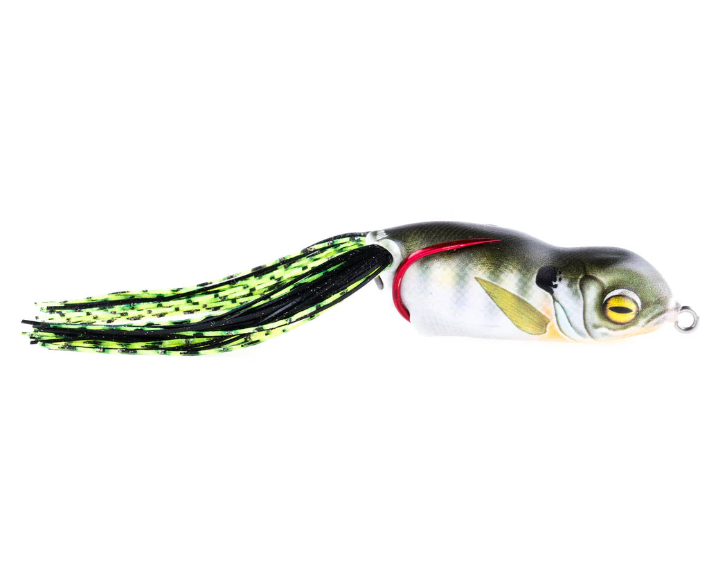 Scum Frog Launch Series - Blue Gill image