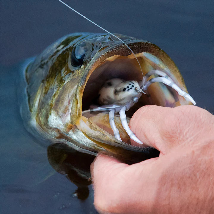 LunkerHunt Phantom Spider image 2