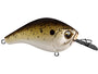 13 Fishing Jabber Jaw Hybrid Squarebill Crankbait - Truffle Butter image