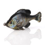 Savage Gear Pulse Tail Bluegill LB - Ghost Gill image