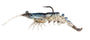 Z-Man PrawnstarZ 3.5" or 5" - 3.5 Inch, White Shrimp image