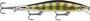 Rapala RIPSTOP® Minnow 4-3/4" - Live Perch image