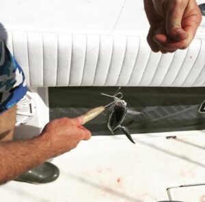 R&R Medium Bait De-Hooker image 1