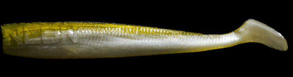 NLBN 8” Paddle Tail - Green Back image