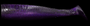 NLBN 5” Paddle Tail - Purple Haze image