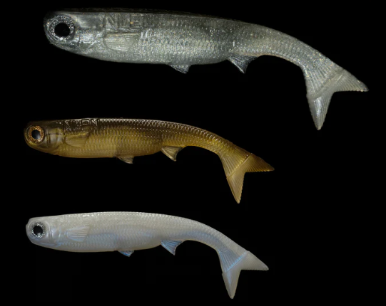 NLBN K-Tails 4", 5" or 7" image 0