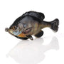 Savage Gear Pulse Tail Bluegill LB image 0