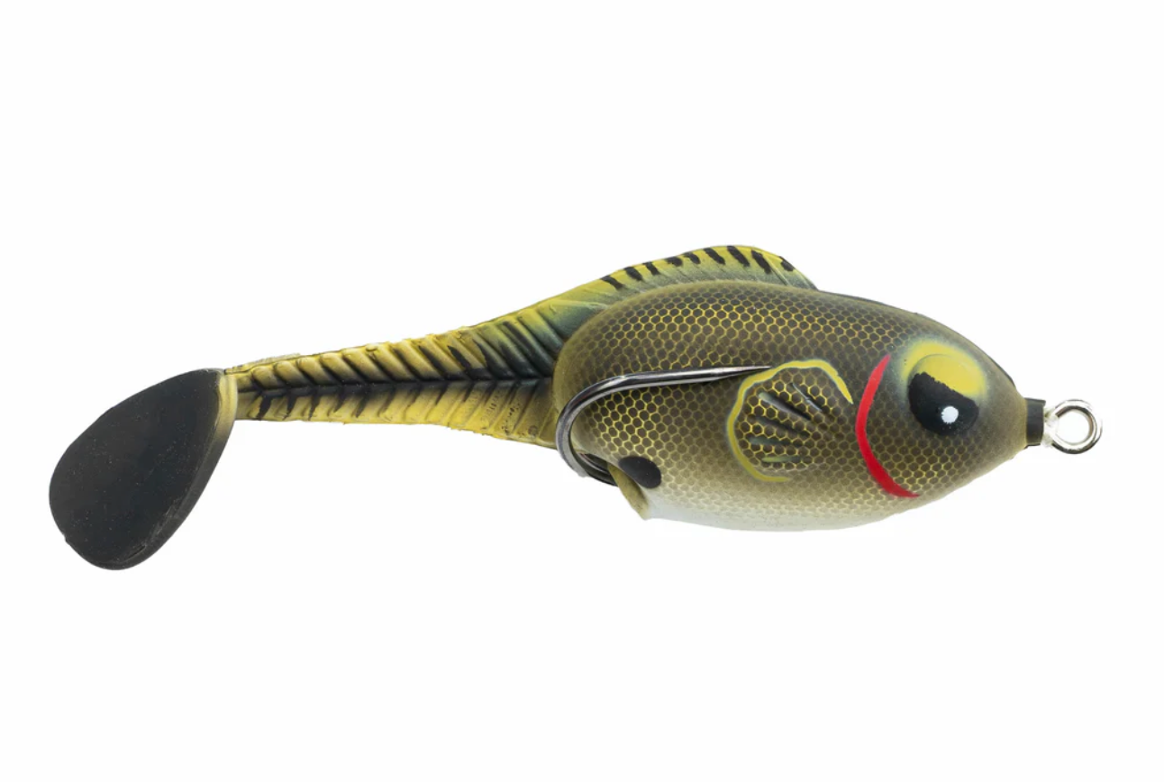 Zoo Wake - Tennessee Shad image